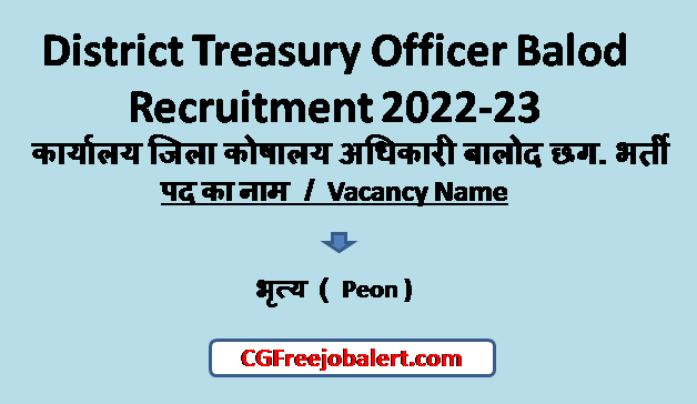 District Treasury Officer Balod Recruitment
