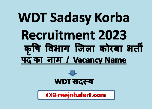 WDT Sadasy Korba Recruitment