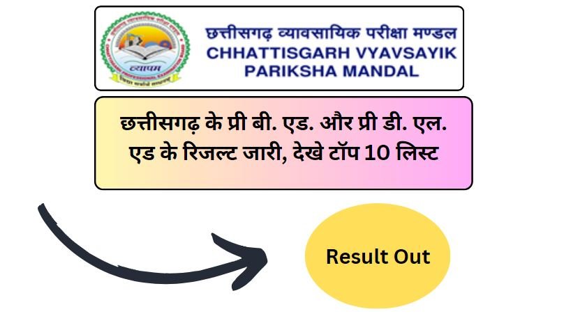 CG Pre D.el.Ed and B.Ed Result 2024